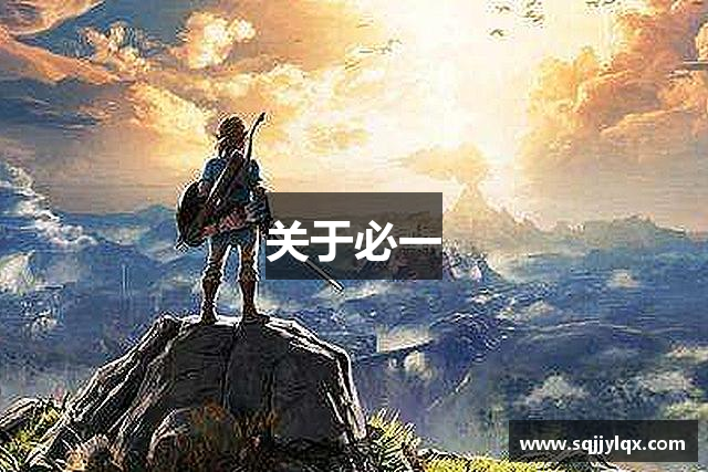 关于必一